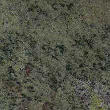 Hunan Green